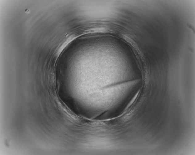 X0000101961473200808011057