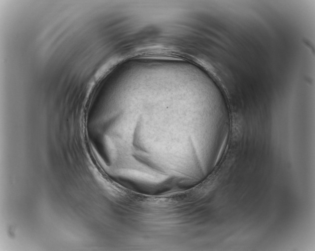 X0000101961474200808011057