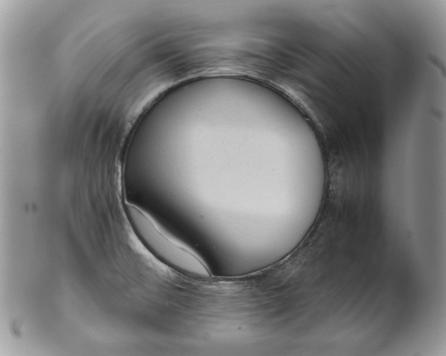 X0000101961476200808011057