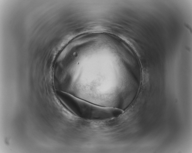 X0000101961477200808011057