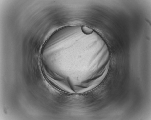 X0000101961478200808011057