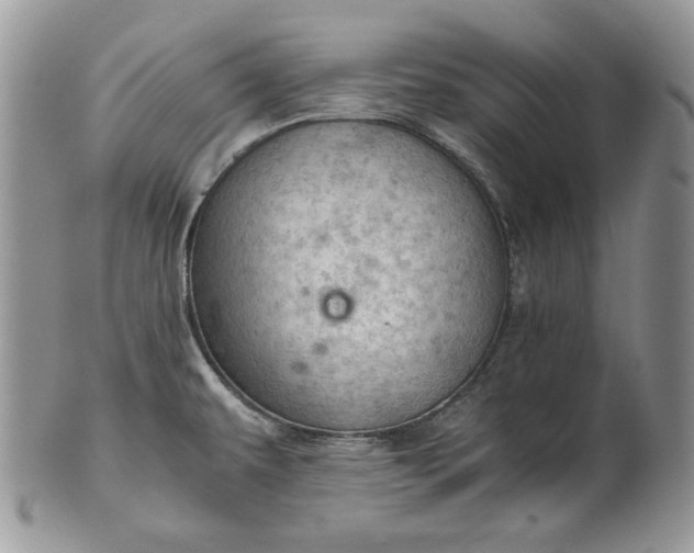 X0000101961479200808011057