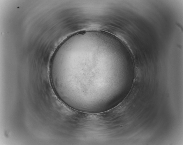 X0000101961480200808011057