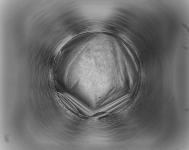 X0000101961481200808011056