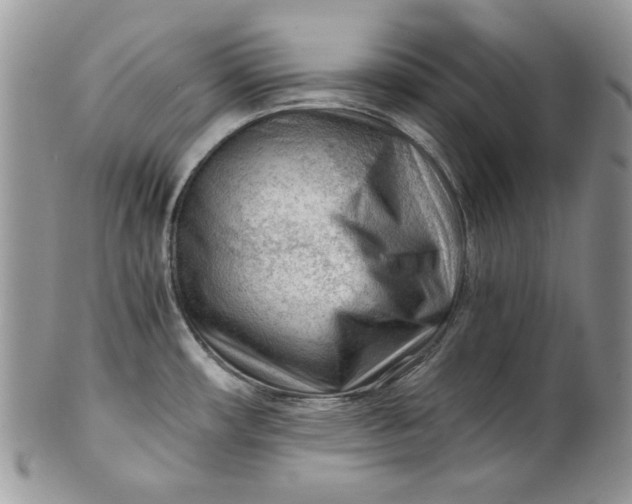 X0000101961482200808011056