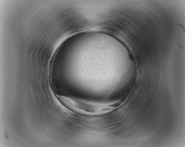 X0000101961483200808011056