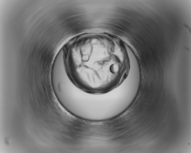 X0000101961484200808011056