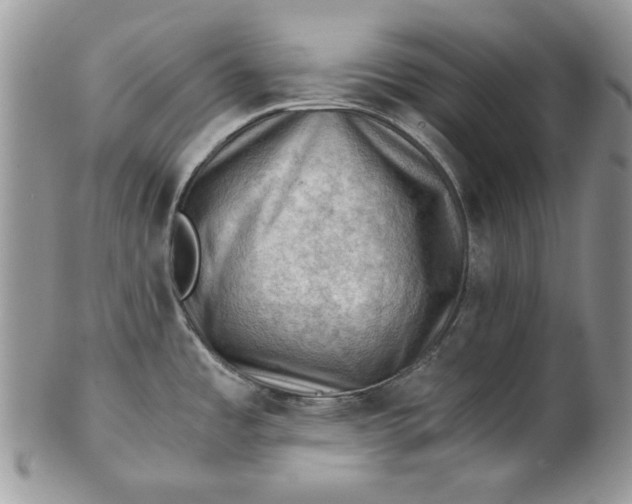 X0000101961485200808011056