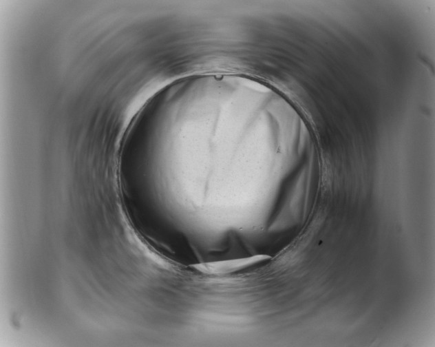 X0000101961486200808011056