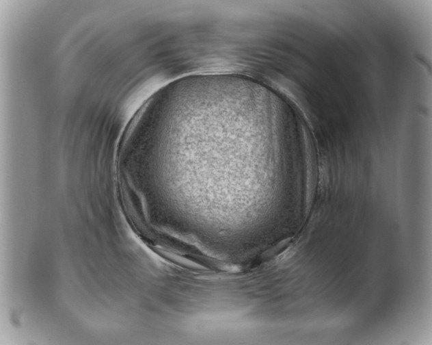 X0000101961487200808011056