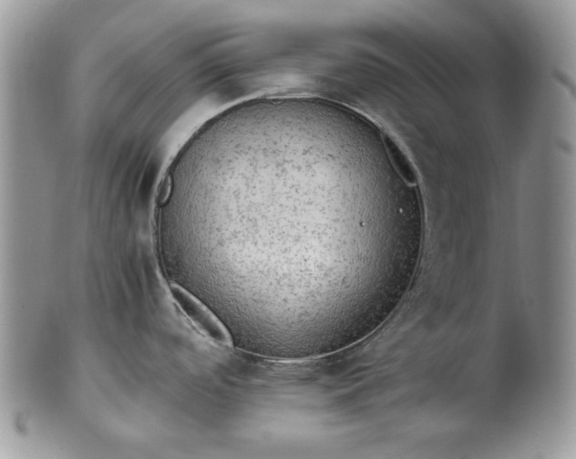 X0000101961488200808011056