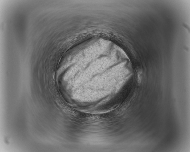 X0000101961489200808011056