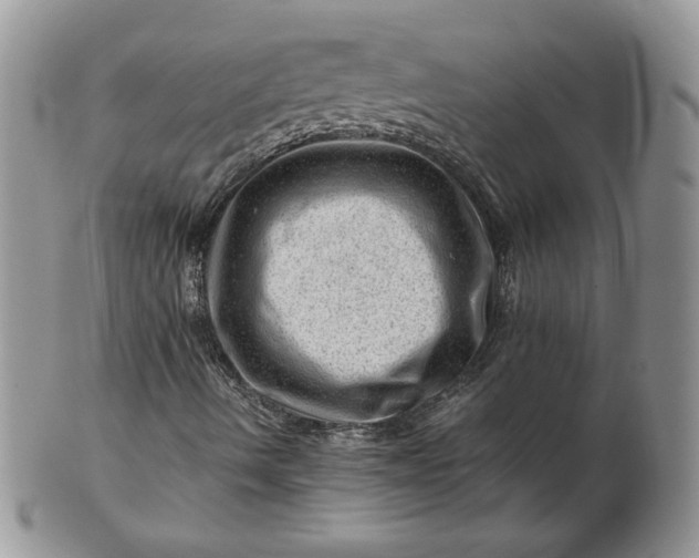 X0000101961490200808011056