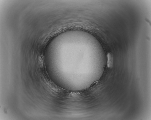 X0000101961491200808011056