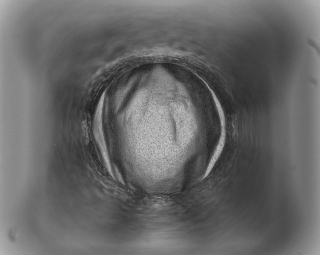 X0000101961493200808011056