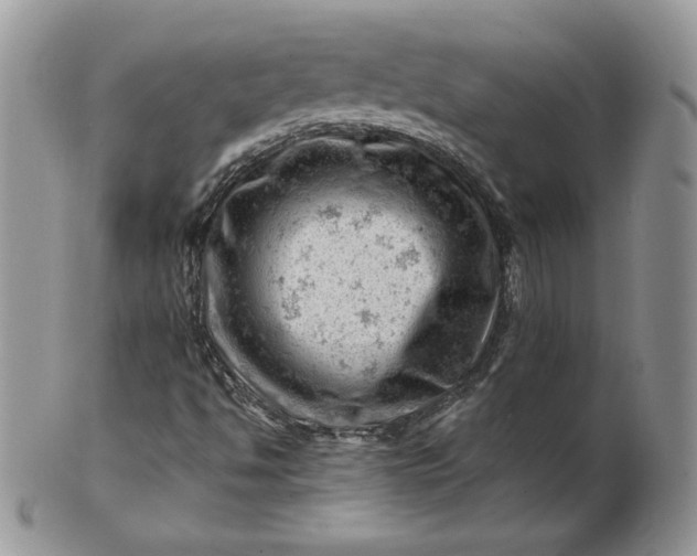 X0000101961494200808011056