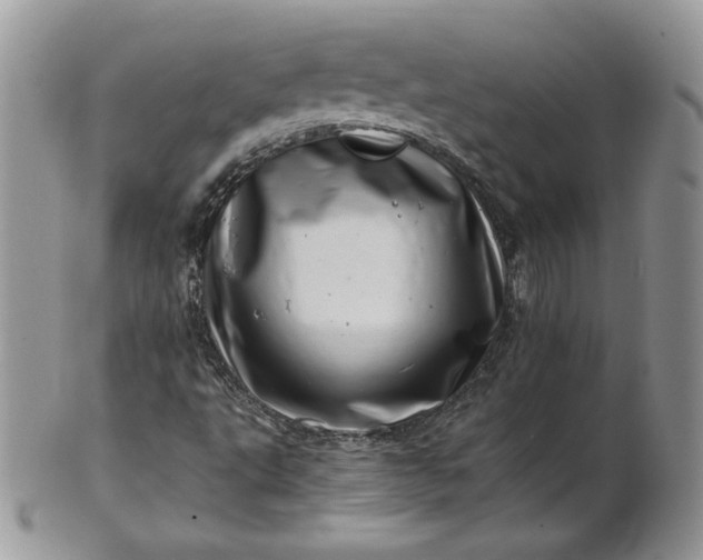 X0000101961495200808011056