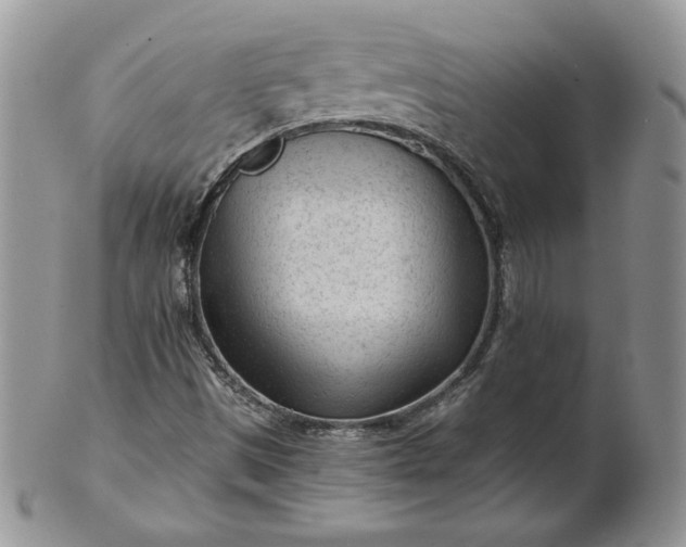 X0000101961497200808011056