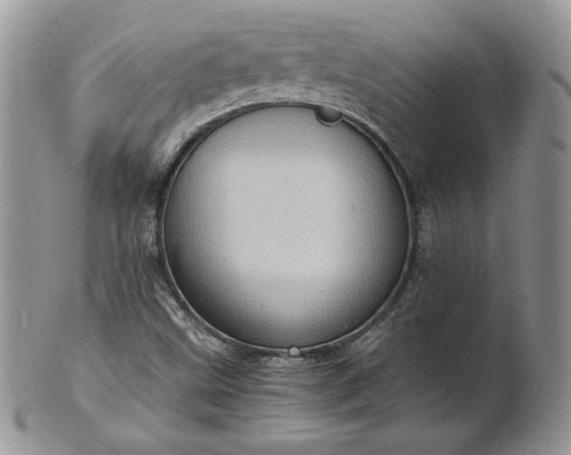 X0000101961499200808011056