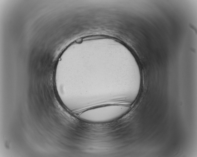 X0000101961500200808011056