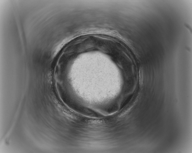 X0000101961501200808011056