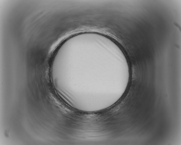 X0000101961502200808011056