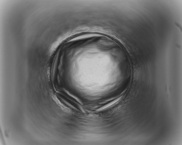 X0000101961503200808011056