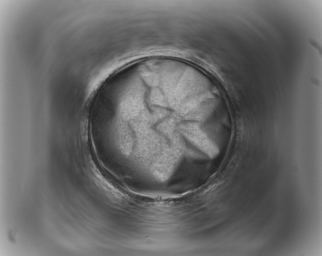 X0000101961504200808011056