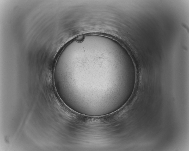 X0000101961505200808011056