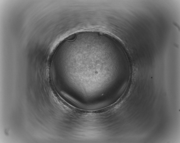 X0000101961506200808011056