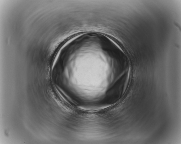 X0000101961507200808011056