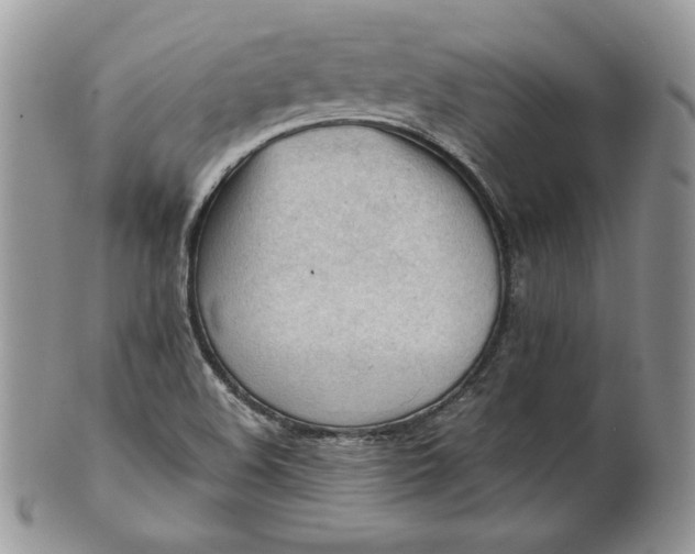 X0000101961508200808011056