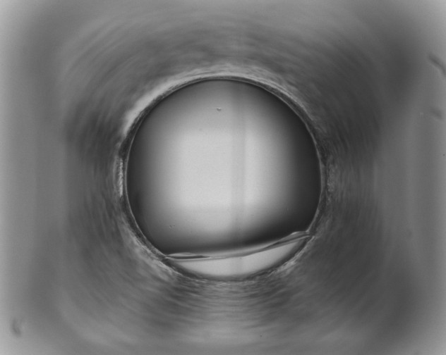 X0000101961510200808011056