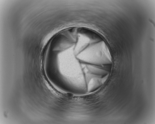 X0000101961511200808011056