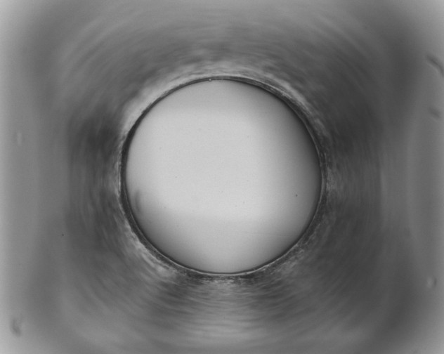 X0000101961512200808011056