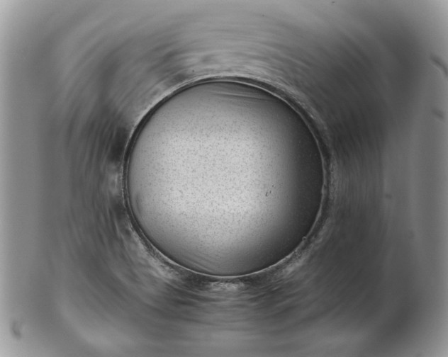 X0000101961513200808011056