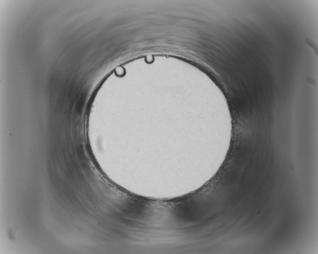 X0000101961514200808011056