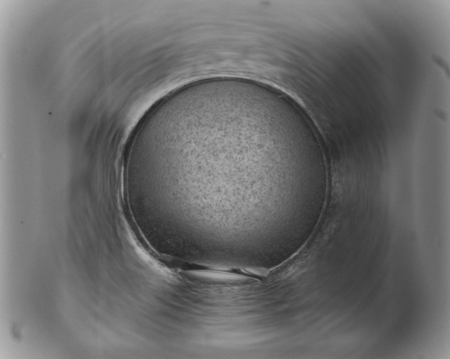 X0000101961515200808011056