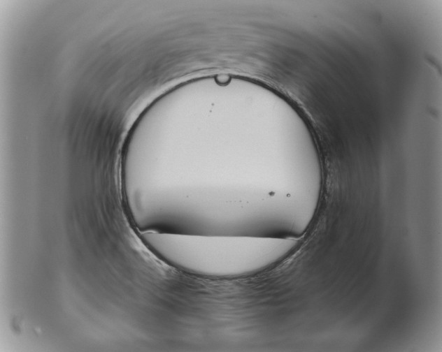 X0000101961516200808011056