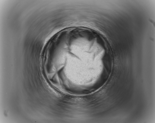 X0000101961517200808011056