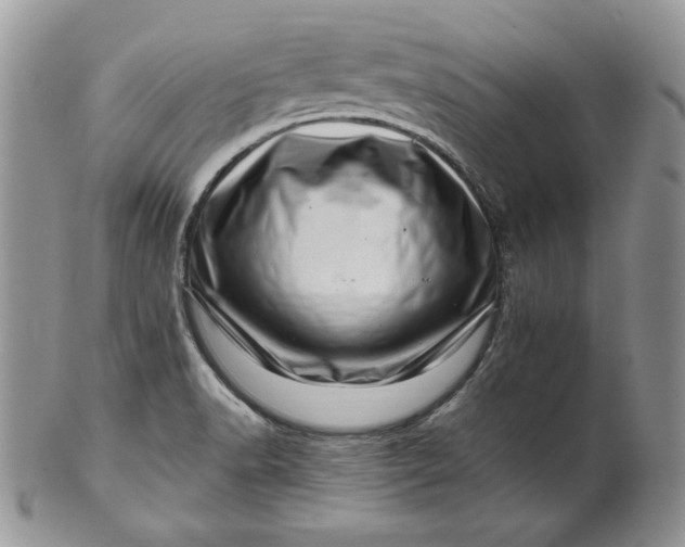 X0000101961518200808011056