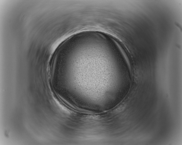 X0000101961519200808011056