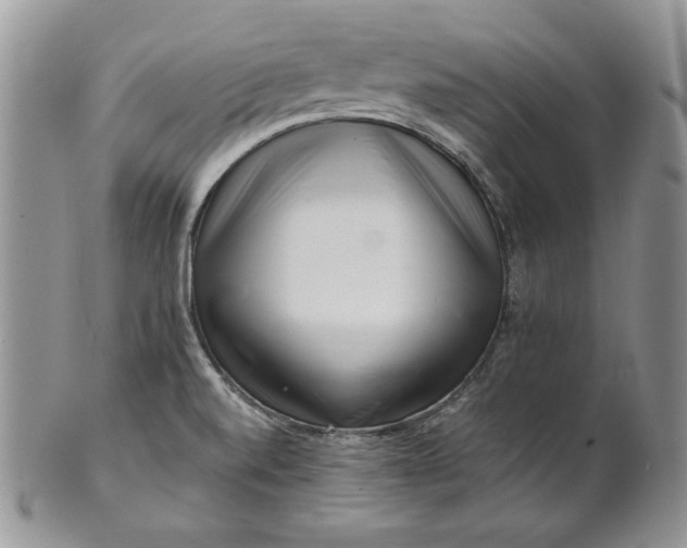 X0000101961520200808011056