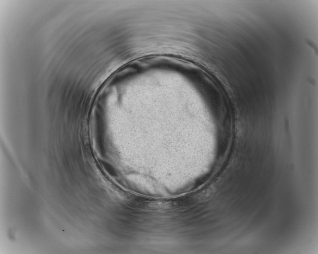 X0000101961521200808011056