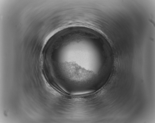 X0000101961522200808011056