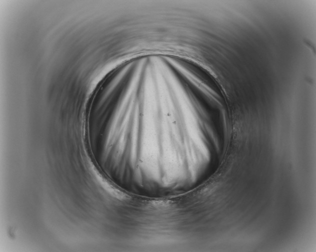 X0000101961523200808011056