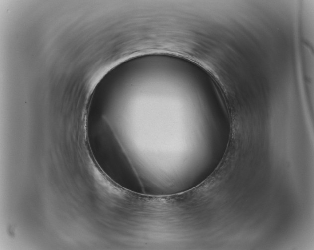 X0000101961524200808011056