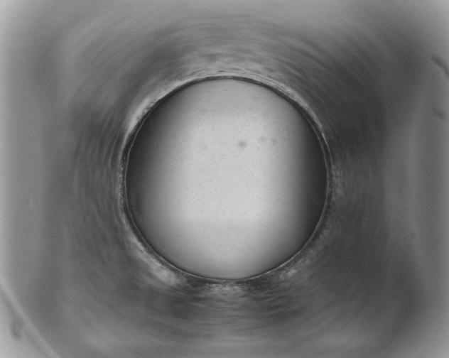 X0000101961525200808011056