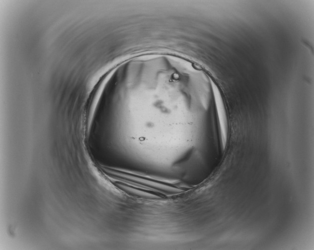 X0000101961526200808011056