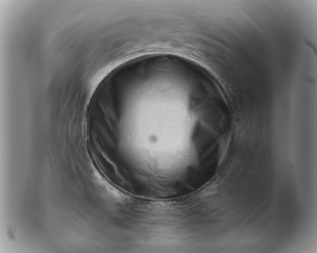 X0000101961527200808011056